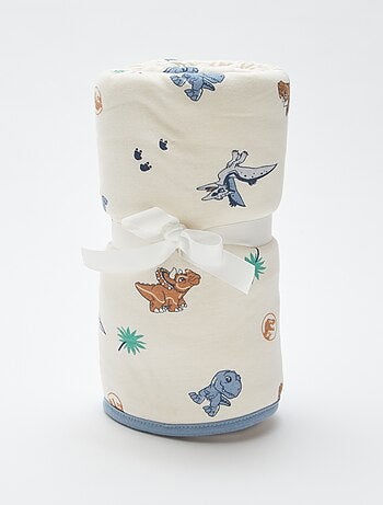 Couverture 'Jurassic Explorers'