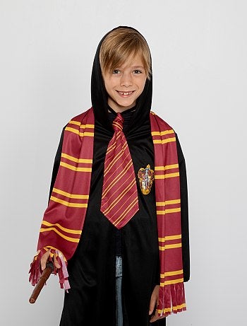 Déguisement 'Harry Potter'