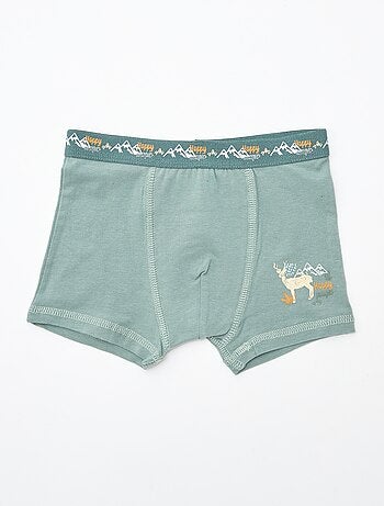 Lot de 2 boxers 'Petit Béguin'