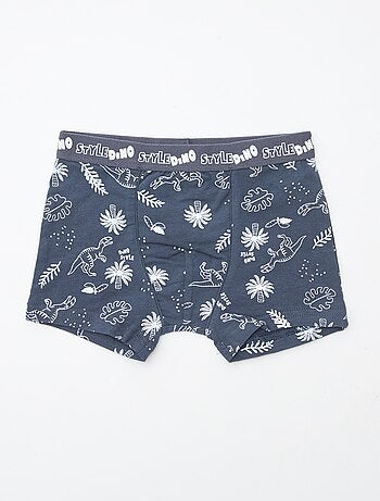 Lot de 2 boxers 'Petit Béguin'