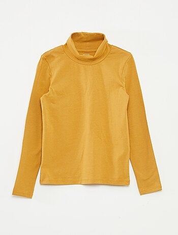 Lot de 2 pulls fins col roulé