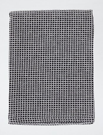 Lot de 2 torchons 50 x 70 cm 190 gr