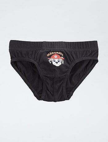 Lot de 5 slips 'Pat'patrouille'