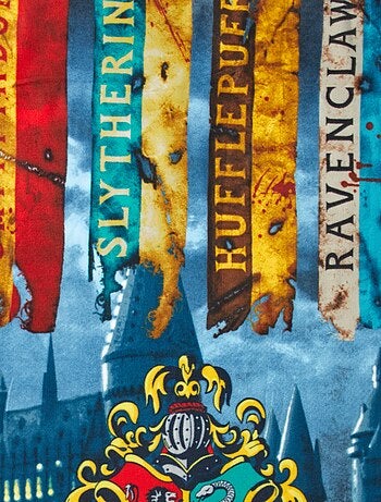 Plaid 'Harry Potter'