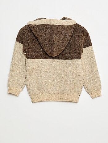 Pull à capuche color bloc