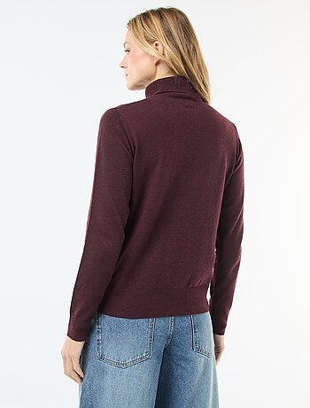Pull col roulé uni