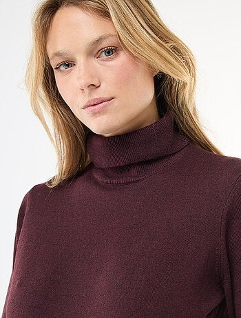 Pull col roulé uni