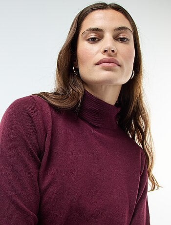 Pull col roulé uni