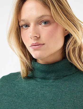 Pull col roulé uni