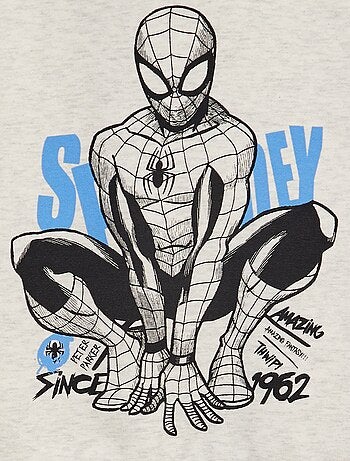 Sweat à capuche 'Spiderman'