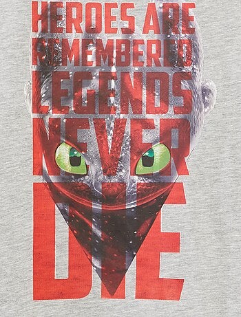 T-shirt 'Dragons' 'Universal'