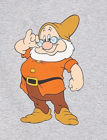T-shirt 'Les 7 nains' 'Disney'