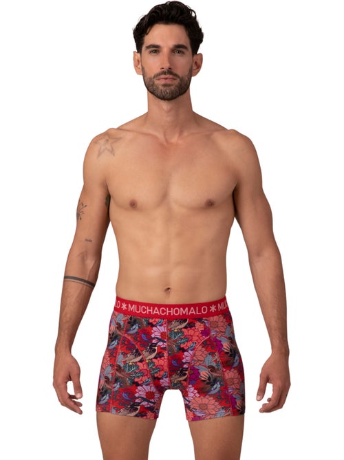 10 pack Muchachomalo boxershorts - Kiabi 10 pack Muchachomalo boxershorts - Kiabi