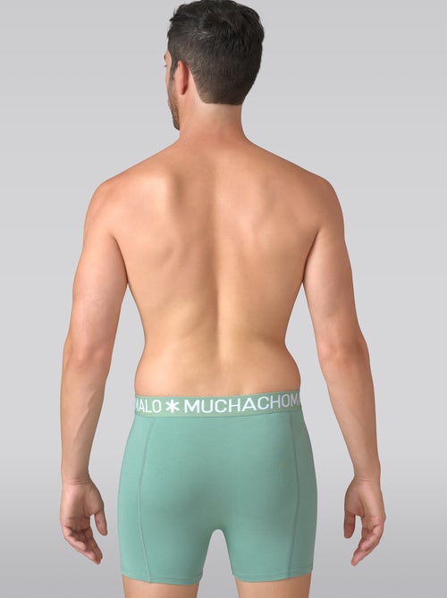 10 pack Muchachomalo boxershorts - Kiabi 10 pack Muchachomalo boxershorts - Kiabi