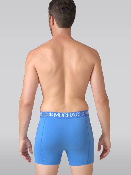 10 pack Muchachomalo boxershorts - Kiabi 10 pack Muchachomalo boxershorts - Kiabi