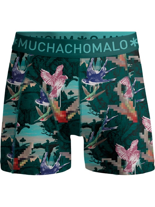 10 pack Muchachomalo boxershorts - Kiabi 10 pack Muchachomalo boxershorts - Kiabi