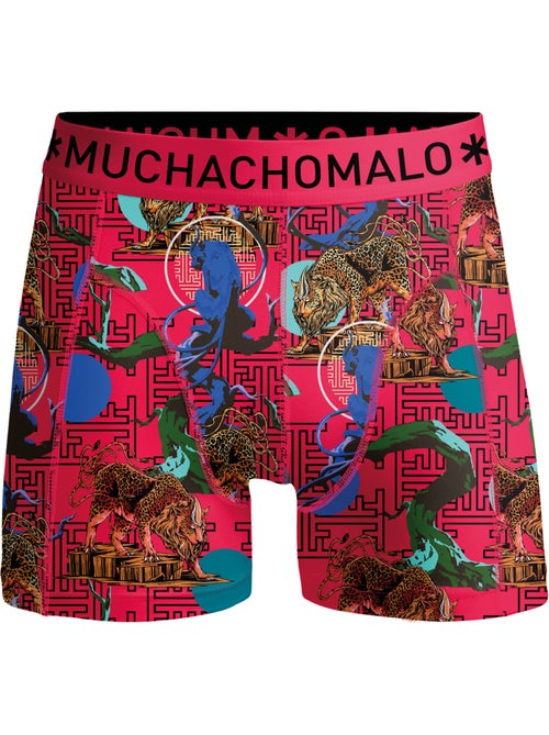 10 pack Muchachomalo boxershorts - Kiabi 10 pack Muchachomalo boxershorts - Kiabi