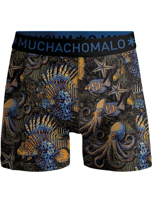 3 pack Muchachomalo boxershorts - Kiabi