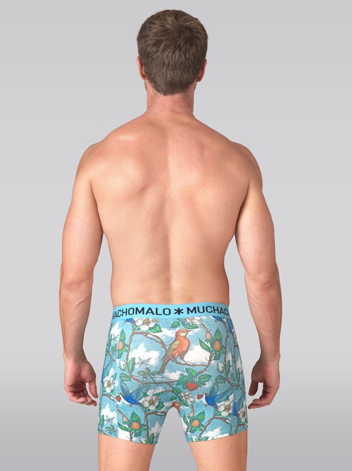 3 pack Muchachomalo boxershorts - Kiabi 3 pack Muchachomalo boxershorts - Kiabi