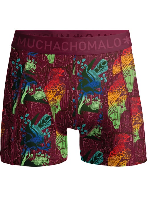4 pack Muchachomalo boxershorts - Kiabi 4 pack Muchachomalo boxershorts - Kiabi
