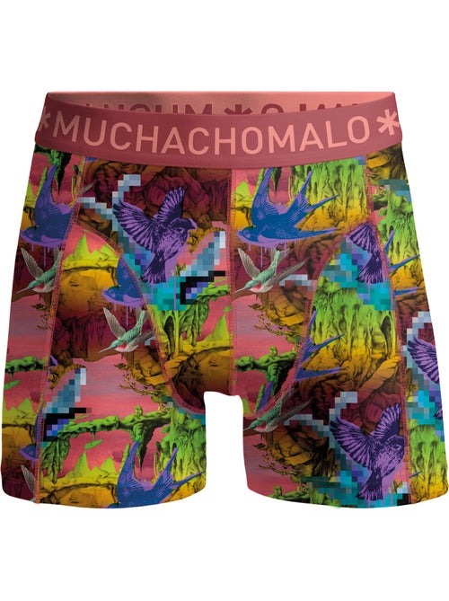 7 pack Muchachomalo boxershorts - Kiabi