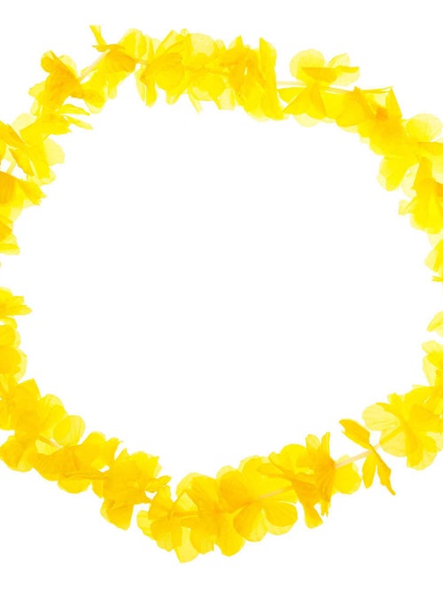 Accessoire collier hawaïen - Kiabi