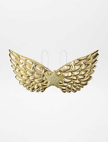 Ailes fantastiques souples