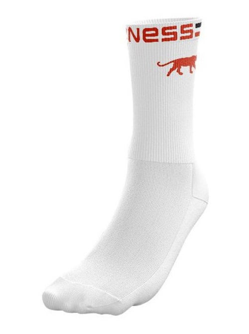 Airness set van 5 herentennisschoenen met logo op het bovenwerk, panther-kleuren - Kiabi Airness set van 5 herentennisschoenen met logo op het bovenwerk, panther-kleuren - Kiabi