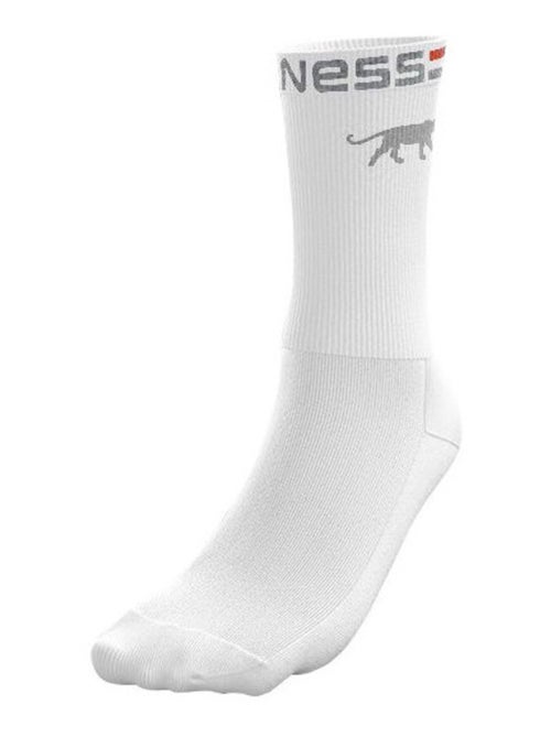 Airness set van 5 herentennisschoenen met logo op het bovenwerk, panther-kleuren - Kiabi Airness set van 5 herentennisschoenen met logo op het bovenwerk, panther-kleuren - Kiabi