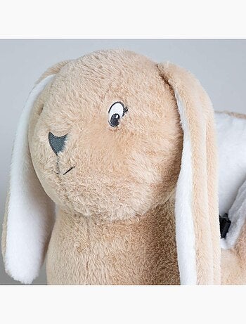 Bascule hop le lapin