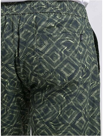Bermuda motifs bartonik