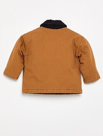 Blouson met contrasterende fluwelen kraag