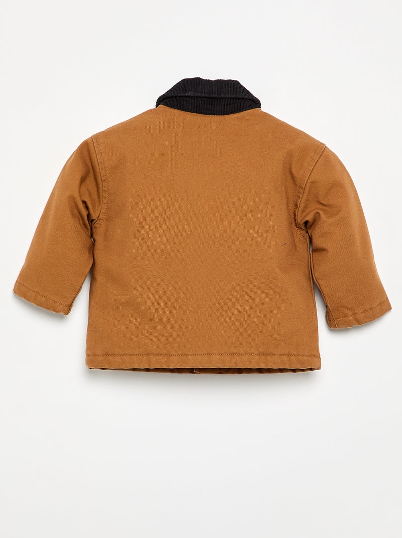 Blouson met contrasterende fluwelen kraag Bruin - Kiabi
