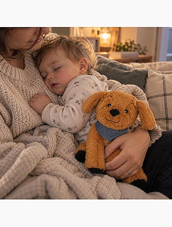 Bouillotte sèche chien en peluche déhoussable chaud ou froid