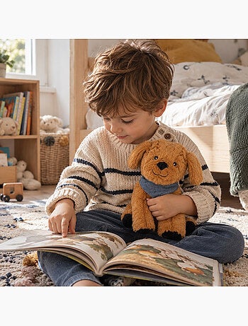 Bouillotte sèche chien en peluche déhoussable chaud ou froid