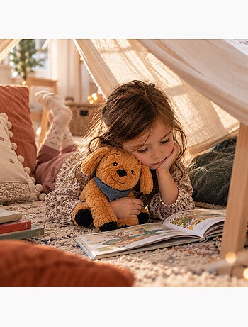 Bouillotte sèche chien en peluche déhoussable chaud ou froid