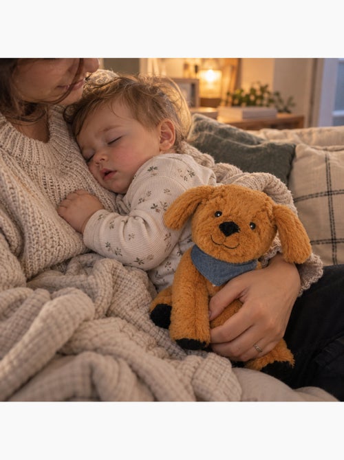 Bouillotte sèche chien en peluche déhoussable chaud ou froid - Kiabi Bouillotte sèche chien en peluche déhoussable chaud ou froid - Kiabi