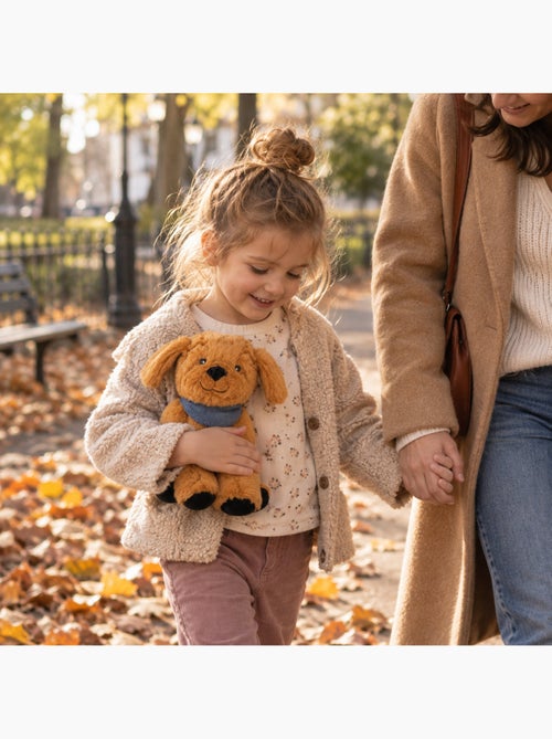 Bouillotte sèche chien en peluche déhoussable chaud ou froid - Kiabi Bouillotte sèche chien en peluche déhoussable chaud ou froid - Kiabi