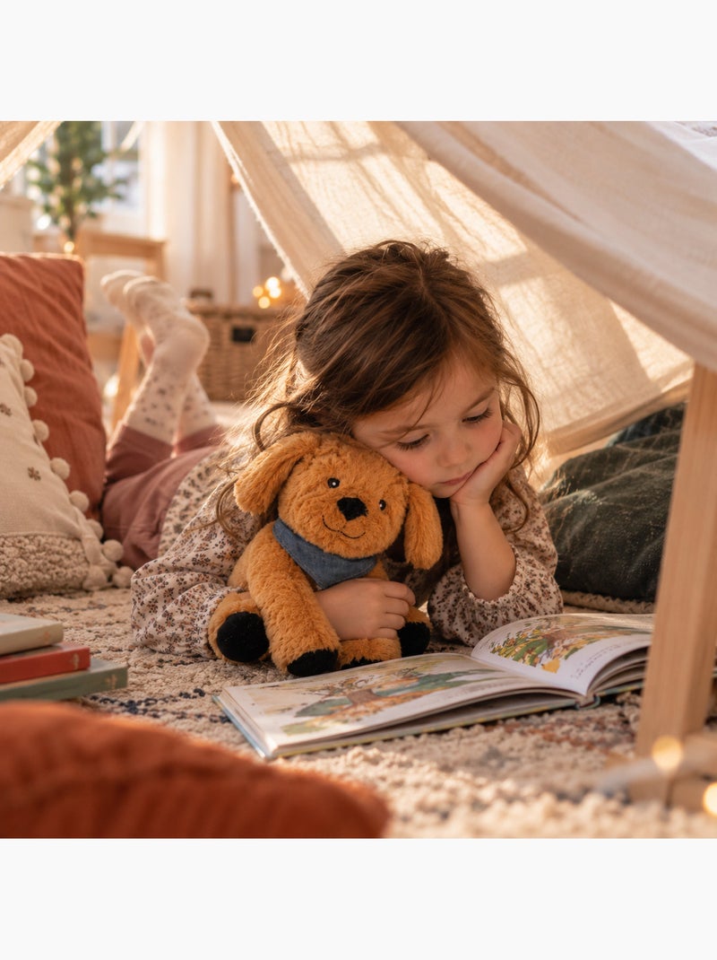 Bouillotte sèche chien en peluche déhoussable chaud ou froid Marron - Kiabi