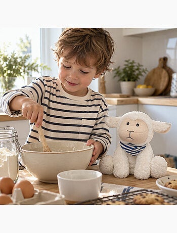Bouillotte sèche mouton en peluche déhoussable chaud ou froid