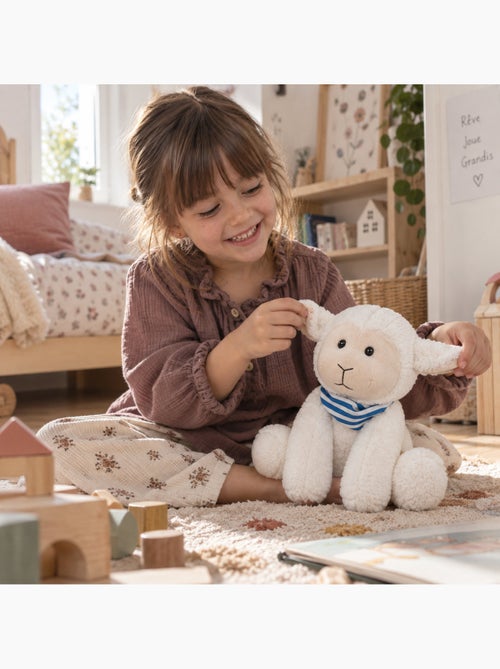 Bouillotte sèche mouton en peluche déhoussable chaud ou froid - Kiabi Bouillotte sèche mouton en peluche déhoussable chaud ou froid - Kiabi