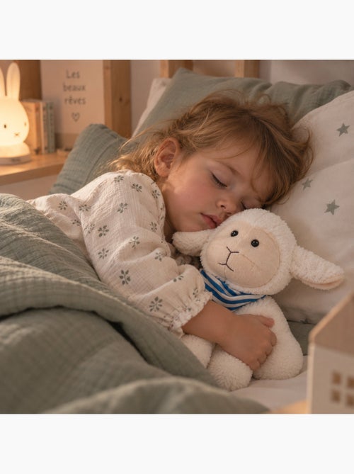 Bouillotte sèche mouton en peluche déhoussable chaud ou froid - Kiabi Bouillotte sèche mouton en peluche déhoussable chaud ou froid - Kiabi