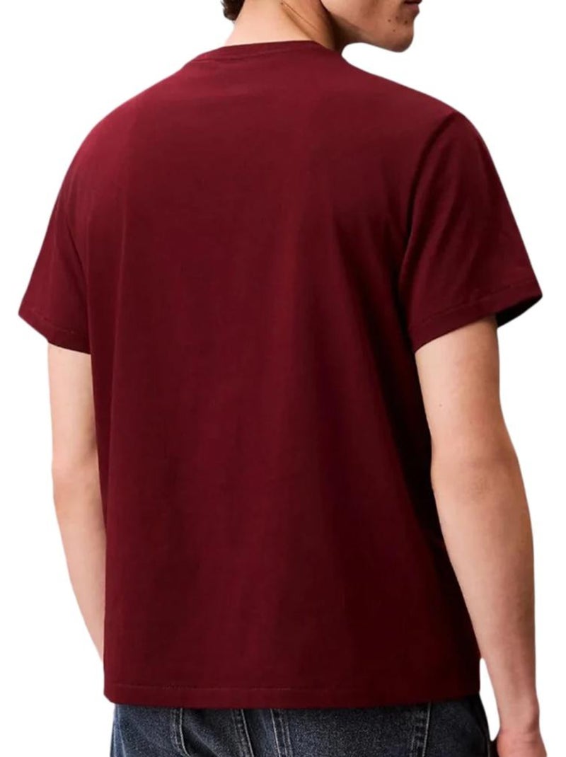 Calvin Klein Jeans Heren T-Shirt Rood Easy LV04RC275G Rood - Kiabi