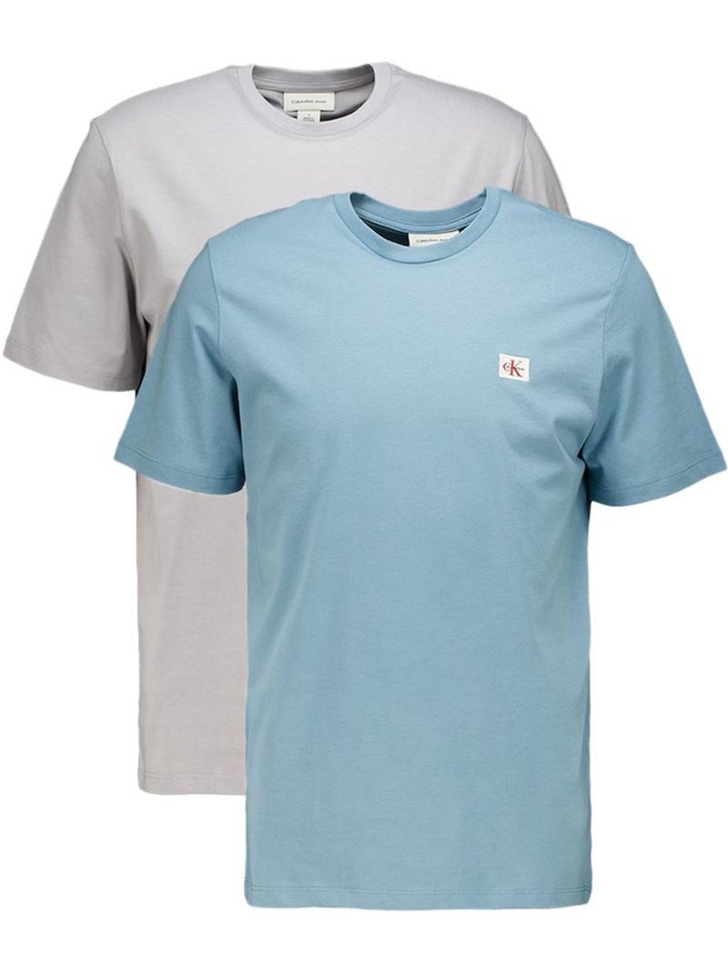 Calvin Klein Jeans Heren T-shirts - Set van 2 Grijs/Blauw met Logo Zilvergrijs - Kiabi