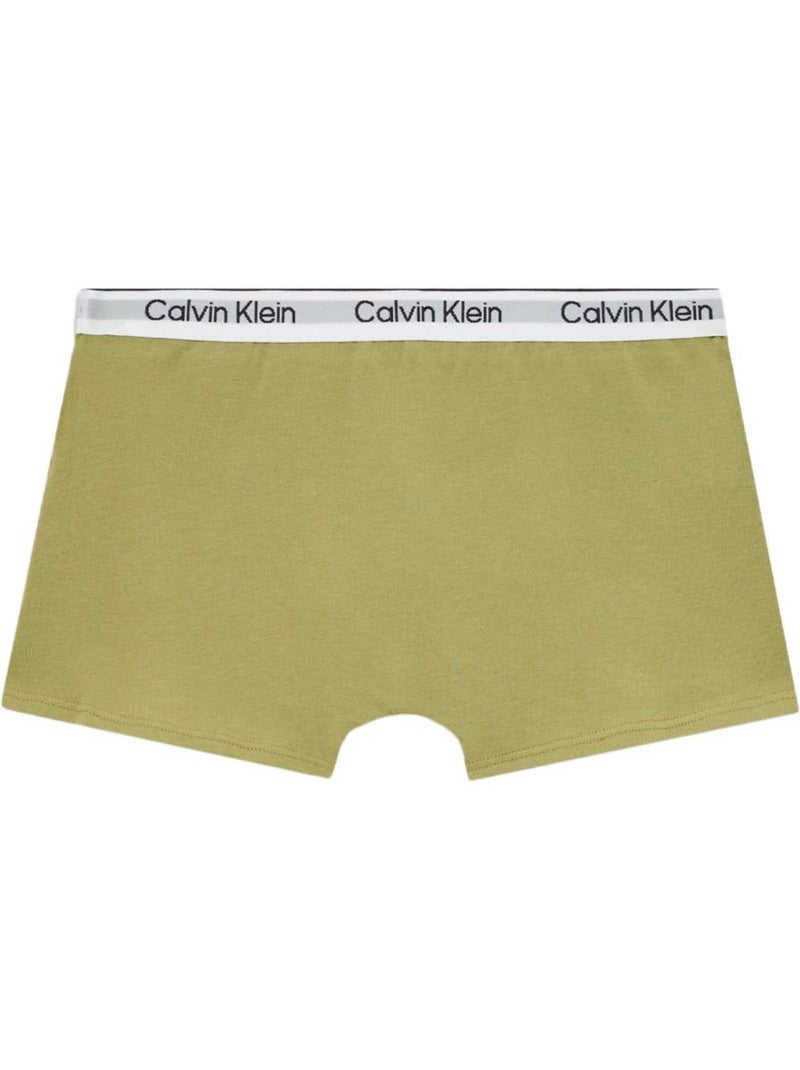 Calvin Klein Jeans Jongens Boxershorts - Set van 2 Groen Groen - Kiabi