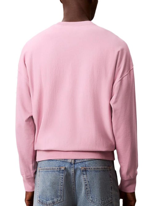 Calvin Klein Jeans Premium Violet Heren Sweatshirt LV04RC277G - Kiabi Calvin Klein Jeans Premium Violet Heren Sweatshirt LV04RC277G - Kiabi