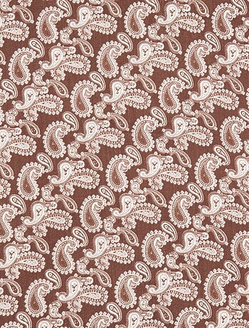 Châle imprimé bandana