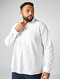 Chemise de Grande Taille Homme