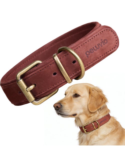 Collier pour chien en cuir PELUVIO Rexor - Réglable - Kiabi