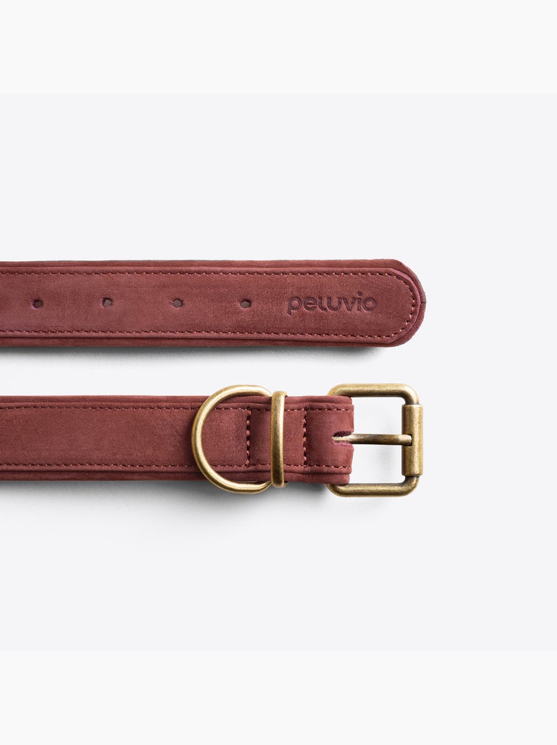 Collier pour chien en cuir PELUVIO Rexor - Réglable Marron - Kiabi